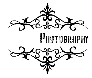 Welcome to Valenca Photography...